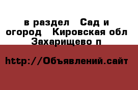  в раздел : Сад и огород . Кировская обл.,Захарищево п.